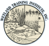 Wetland Training Institute